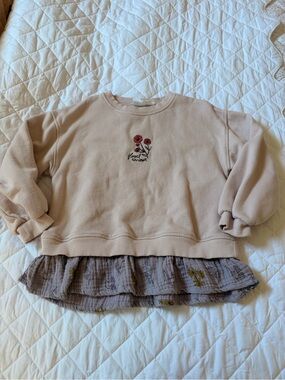 Zara Cream Pink Sweatshirt with Floral Embroidery and Ruffle Hem